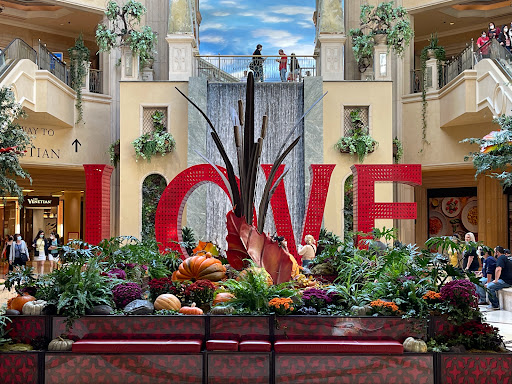 Shopping Mall «The Grand Canal Shoppes», reviews and photos, 3377 S Las Vegas Blvd Suite 2600, Las Vegas, NV 89109, USA