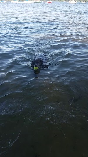 Matoska Park - photo 17