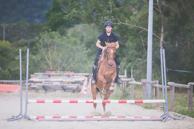 Instant Présent Équitation et Équicoaching à Montbrison