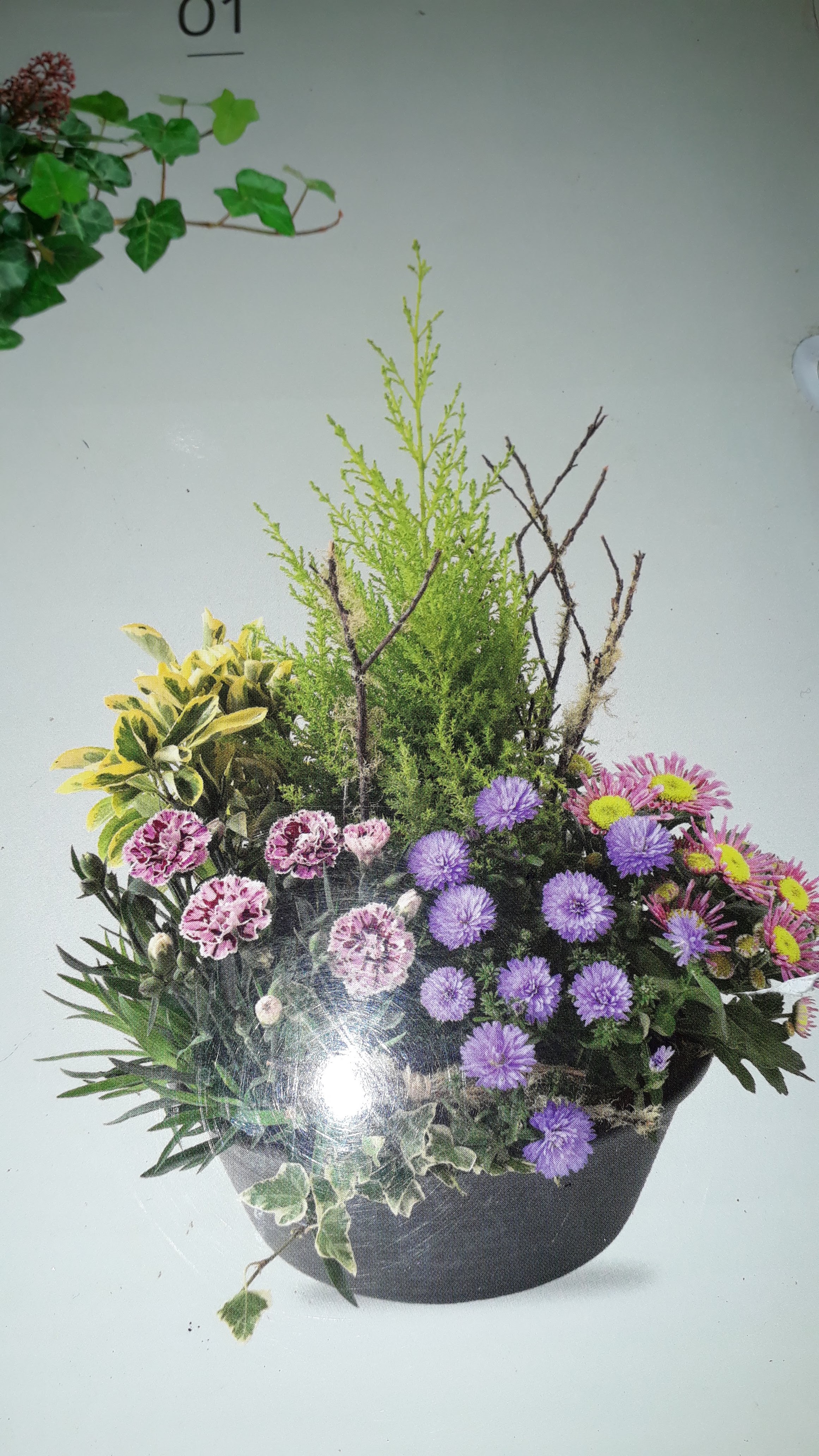 Photo n° 1 de l'avis de Christine.a fait le 30/04/2019 à 10:20