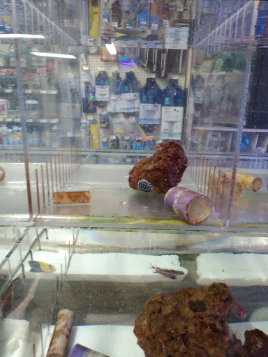 Pet Store «Fins and Skins», reviews and photos, 8451 49th St N, Pinellas Park, FL 33781, USA