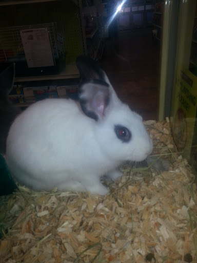 Pet Supply Store «Pet Supermarket», reviews and photos, 3821 S Cobb Dr, Smyrna, GA 30080, USA