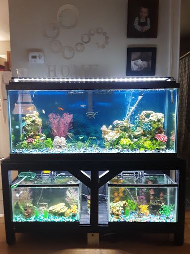 Pet Supply Store «Petco Animal Supplies», reviews and photos, 300 Quaker Ln #3, Warwick, RI 02886, USA