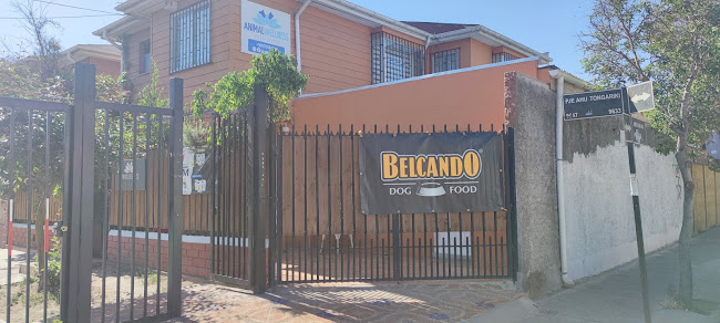 Veterinaria Animal Wellness - Pudahuel
