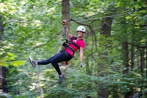 Shawnee Bluffs Canopy Tour image