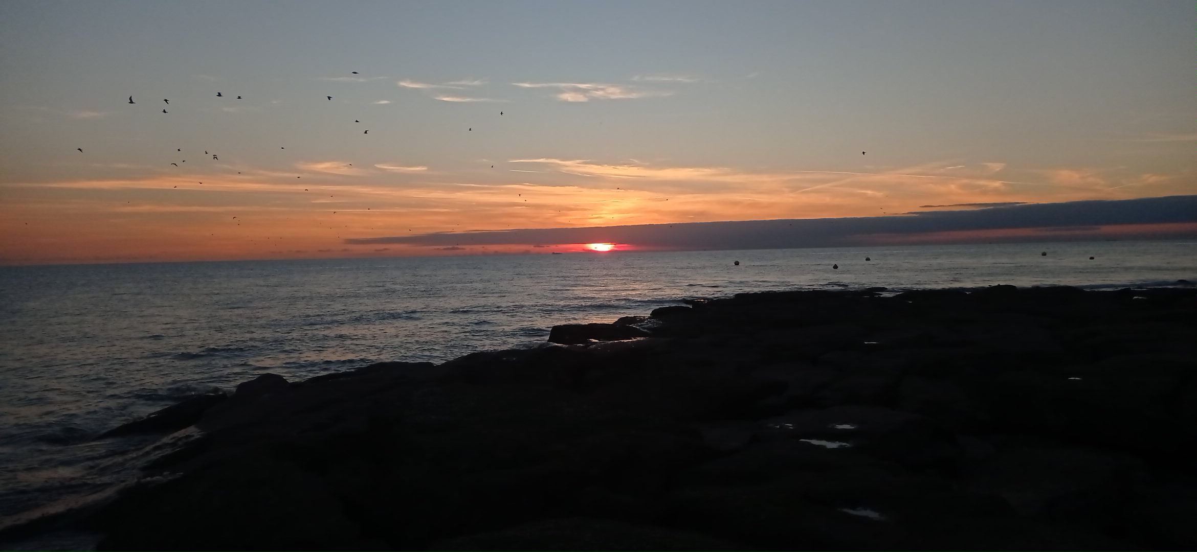 Photo n° 18 de l'avis de Yogi.a fait le 21/09/2022 à 19:57