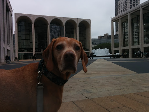 Performing Arts Theater «Lincoln Center for the Performing Arts», reviews and photos, 10 Lincoln Center Plaza, New York, NY 10023, USA