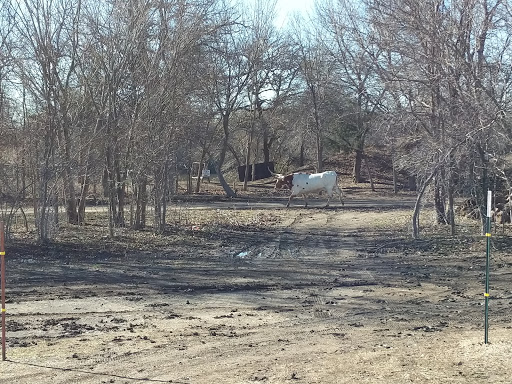 Amusement Park «DFW Adventure Park», reviews and photos, 13055 Cleveland Gibbs Rd, Roanoke, TX 76262, USA