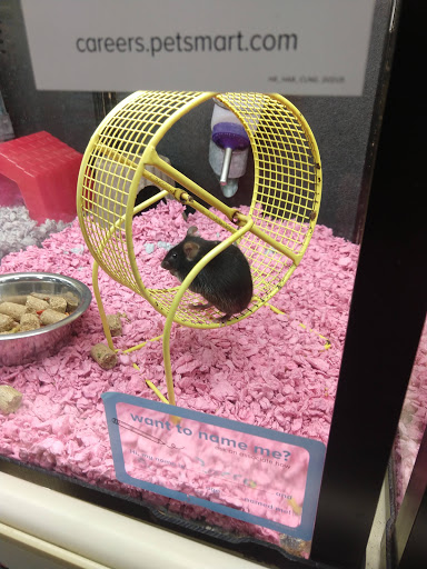 Pet Supply Store «PetSmart», reviews and photos, 5640 Cedar Lake Rd, Minneapolis, MN 55416, USA
