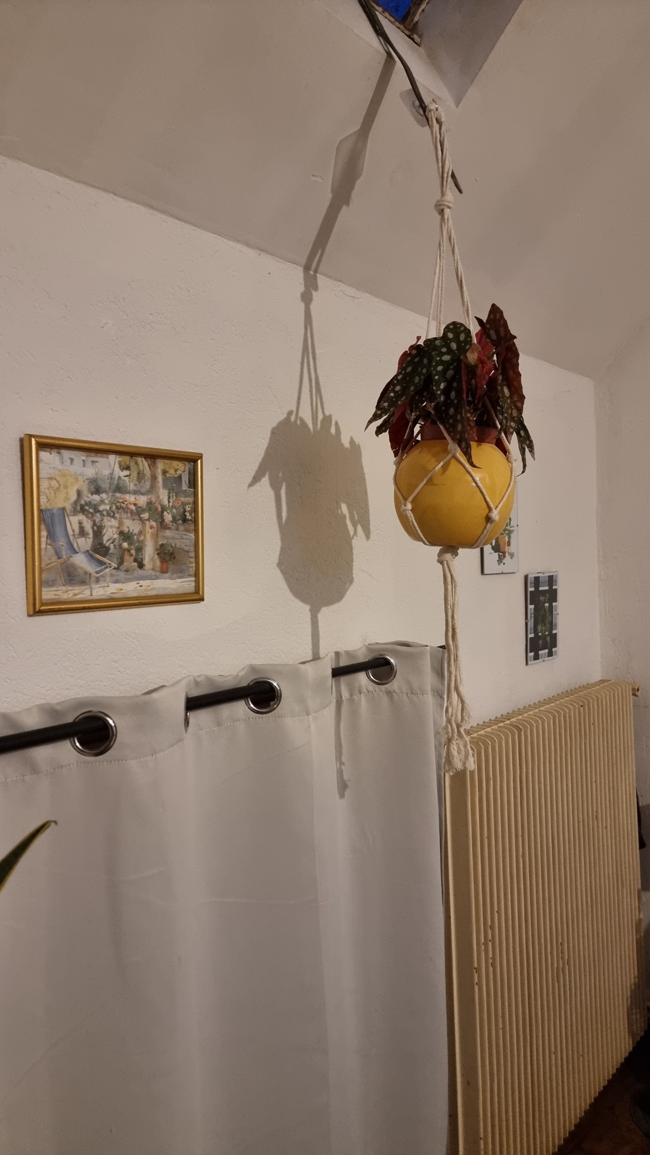 Photo n° 2 de l'avis de Léa. fait le 05/02/2023 à 02:24