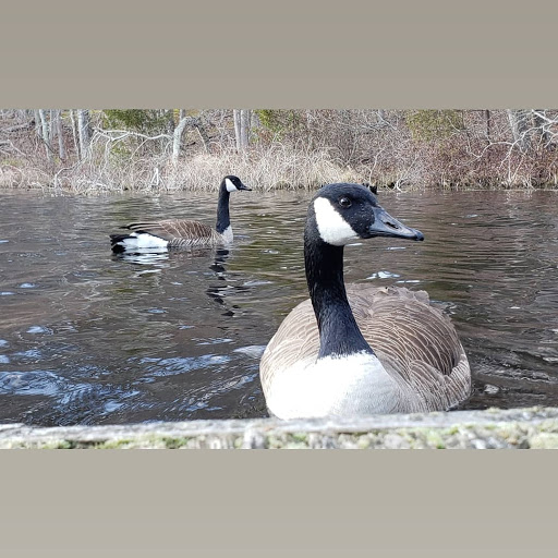 Community Park «Wells Mills County Park», reviews and photos, 905 Wells Mills Rd, Waretown, NJ 08758, USA