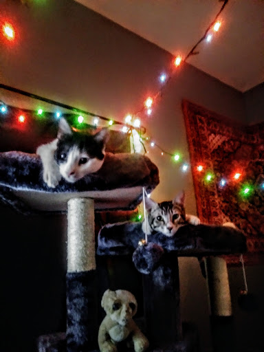 Department Store «Marshalls», reviews and photos, 1130 Harter Pkwy, Yuba City, CA 95993, USA