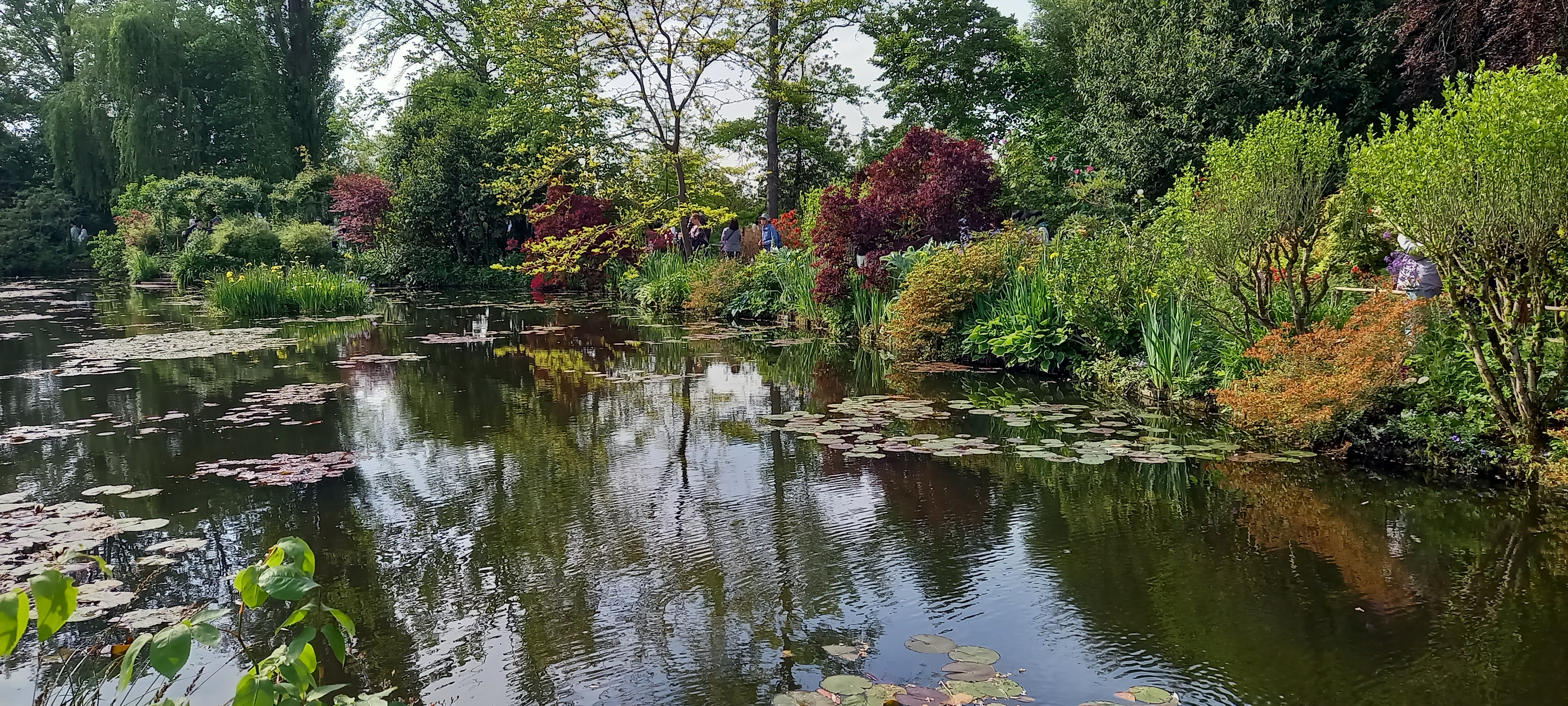 Photo n° 1 de l'avis de Gweyvan.r fait le 21/05/2023 à 19:47