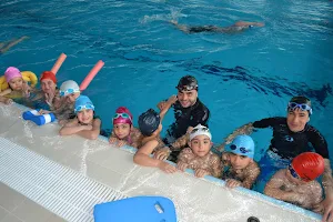 Mavis Swimming & Fitness Club - Olympic Swimming Pool image