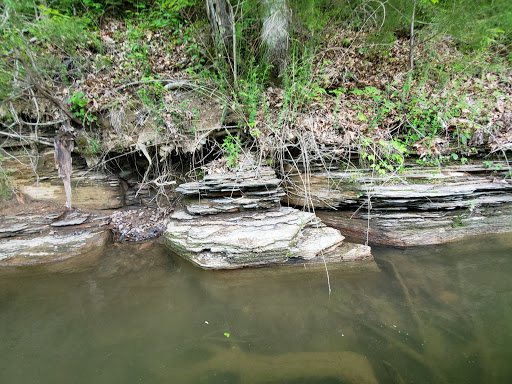 Marina «Mitchell Creek Marina», reviews and photos, 1260 Livingston Boat Dock Rd, Allons, TN 38541, USA