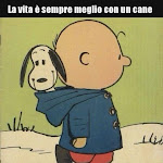 Photo n°1 de l'avis de gabriele.i fait le 15/10/2023 à 21:21 sur le  La Vecchia Legnaia à Altipiani di Arcinazzo