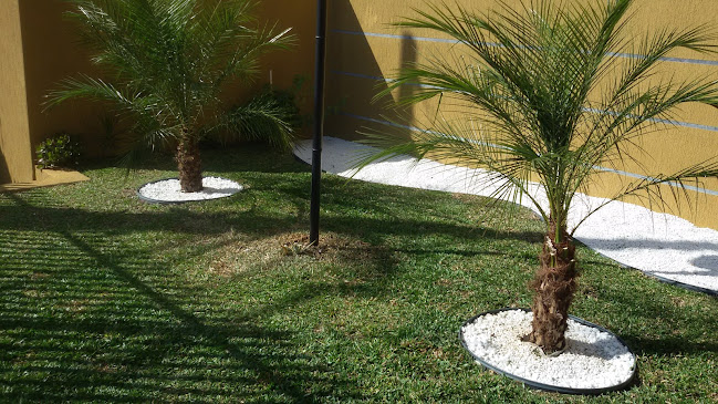 Comentários e avaliações sobre Ideal Jardinagem