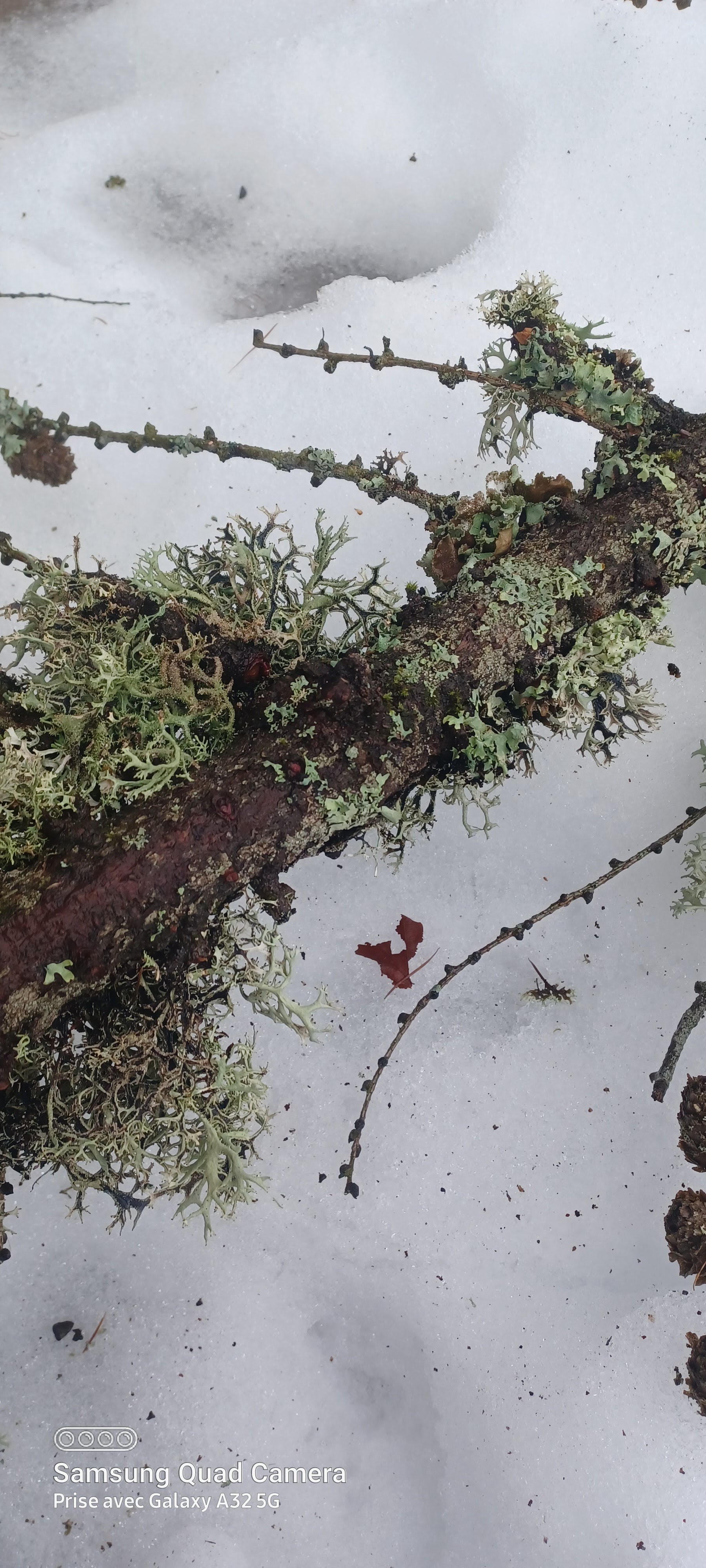 Photo n° 1 de l'avis de Marie.a fait le 30/12/2021 à 15:58