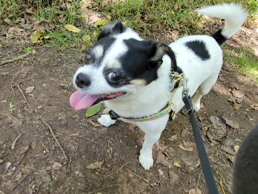 Nature Preserve «Cool Spring Preserve», reviews and photos, 1469 Lloyd Rd, Charles Town, WV 25414, USA