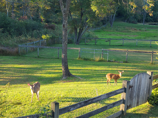 Nature Preserve «Teetertown Ravine Nature Preserve», reviews and photos, 30 Pleasant Grove Rd, Port Murray, NJ 07865, USA
