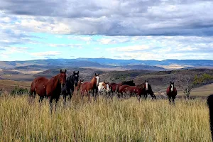 Saddleback Ranch - Horseback rides & Snowmobile Tours image