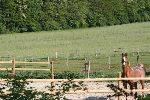 haras de vaugouret à Saint-Sérotin