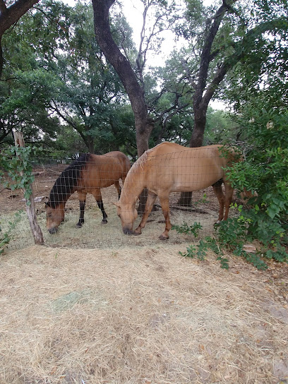 Hooves & Paws Veterinary Clinic