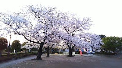 辰井公園