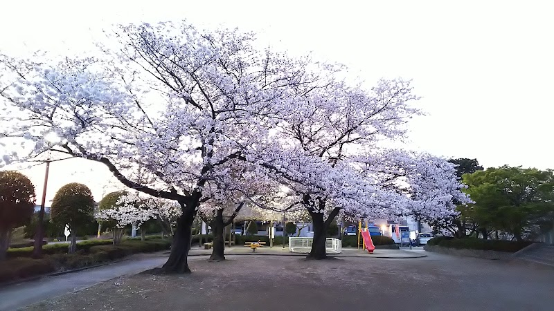 辰井公園