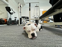 H2 Fitness & Personal Training - Photo 1 - Car repair in Emeryville, CA, Oakland