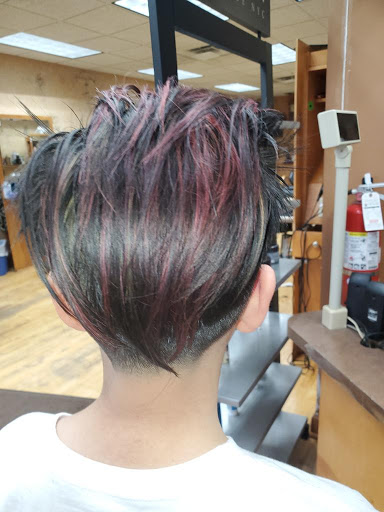 Beauty Salon «Elite Salon & Spa», reviews and photos, 4808 W 83rd St, Burbank, IL 60459, USA