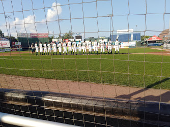 Hadlock Field