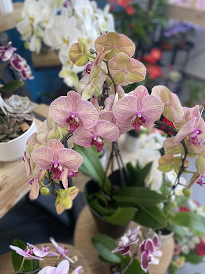 Esprit Fleurs à Palaiseau