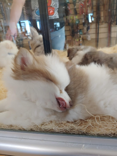 Pet Store «Perfect Pets», reviews and photos, 6840 S University Blvd #410, Centennial, CO 80122, USA