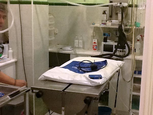 Panda Clínica Veterinaria en Fuenlabrada