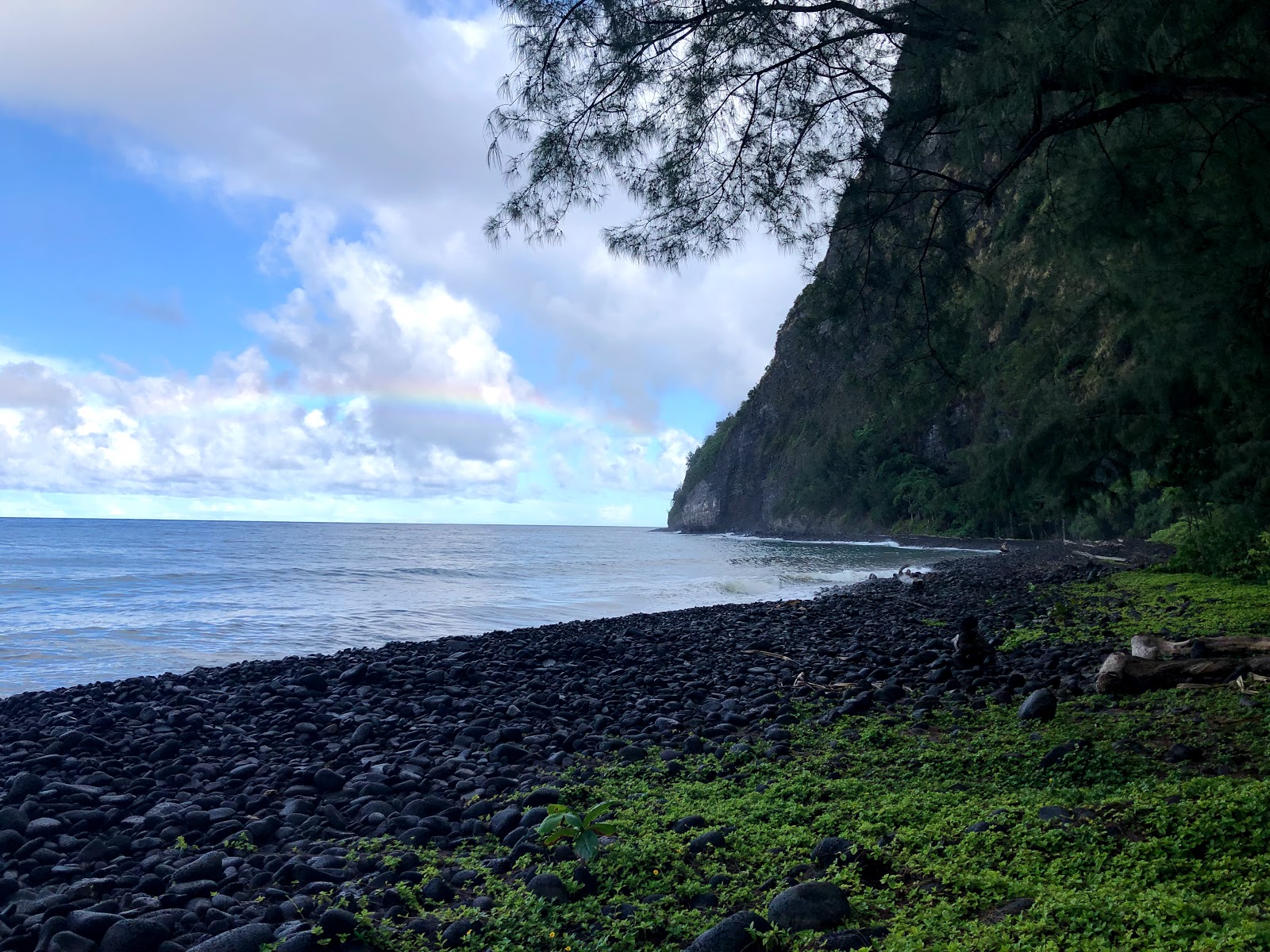 Foto van Waimanu Valley gelegen in een natuurlijk gebied