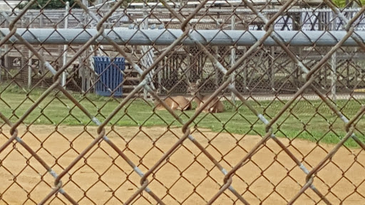 Park «Memorial Field Park», reviews and photos, 46 Lower Rd, Linden, NJ 07036, USA