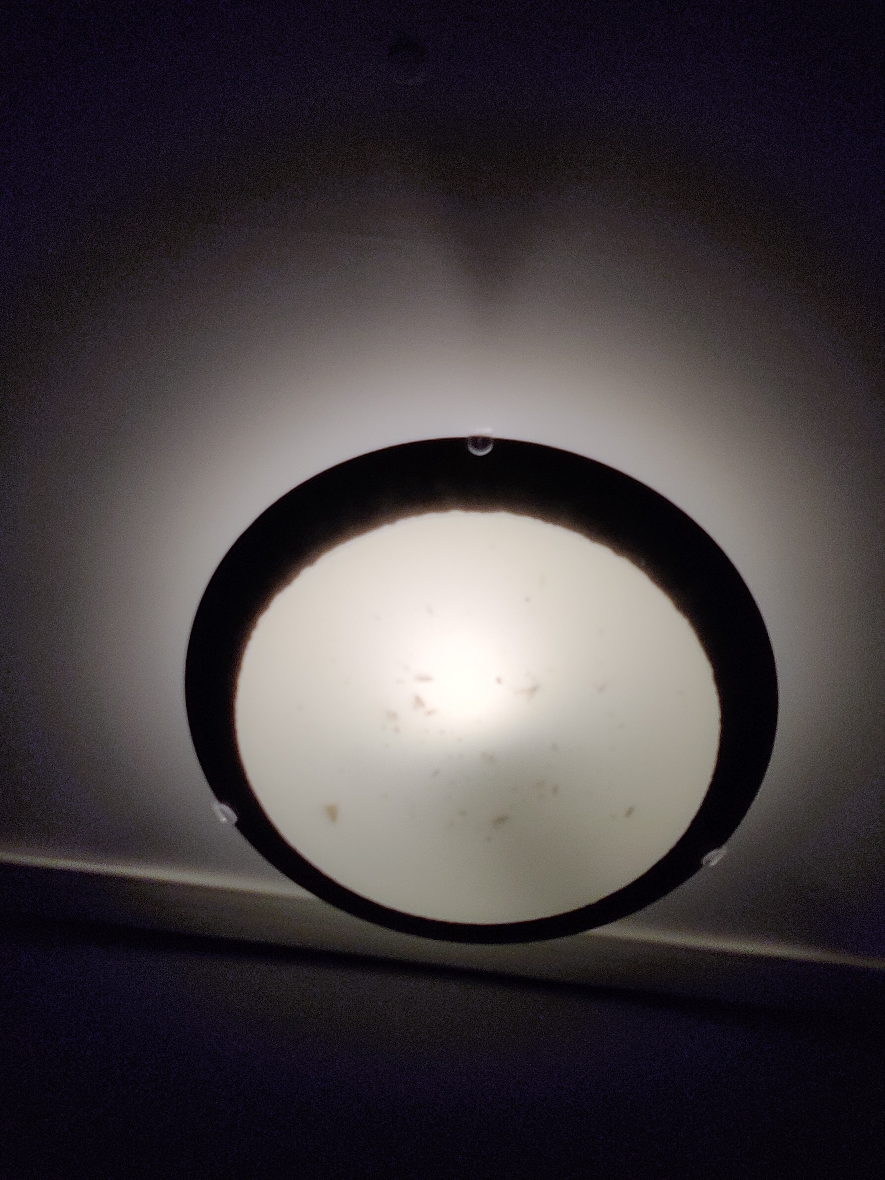 Photo n° 3 de l'avis de Adrien.a fait le 26/07/2023 à 15:45