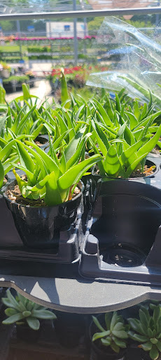 Department Store «Walmart Supercenter», reviews and photos, 150 Commerce Drive, Fairfield, IL 62837, USA