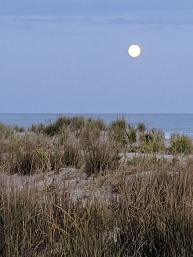 Coffee Shop «The Ocean City Coffee Company», reviews and photos, 928 Boardwalk, Ocean City, NJ 08226, USA