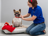 PetSmart - Photo 7 - Car repair in Holland, MI, Holland