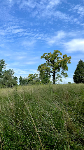 Park «Harford Glen Park», reviews and photos, 502 W Wheel Rd, Bel Air, MD 21015, USA