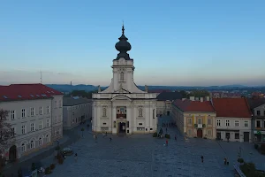 Basilica of the Presentation of the Blessed Virgin Mary image