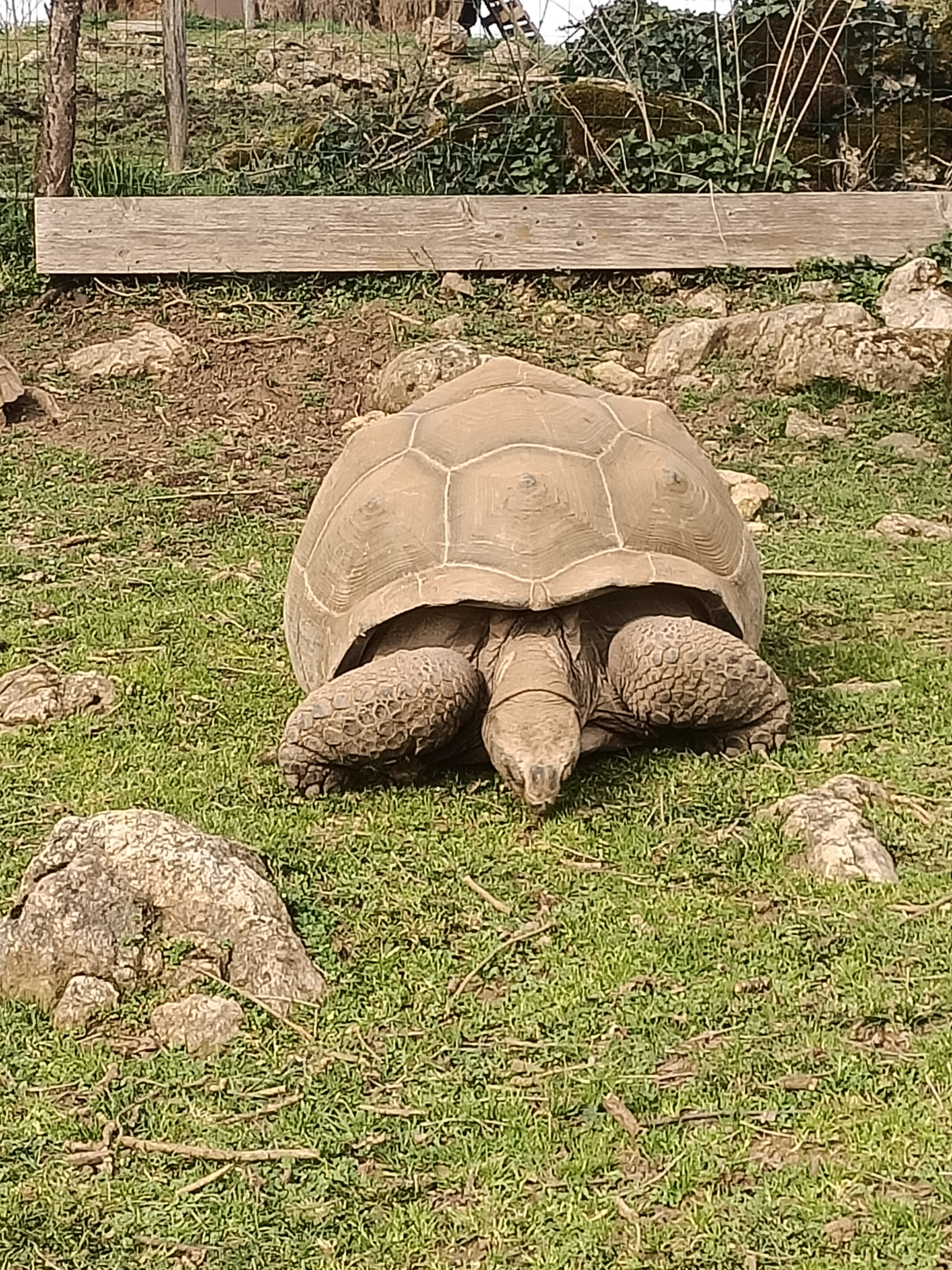 Photo n° 5 de l'avis de Dufau.a fait le 21/02/2024 à 14:51