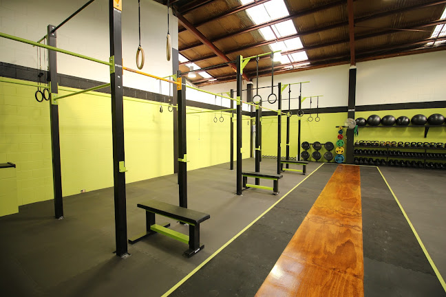 Reviews of AM I FIT Group Fitness Training in Dunedin - Gym