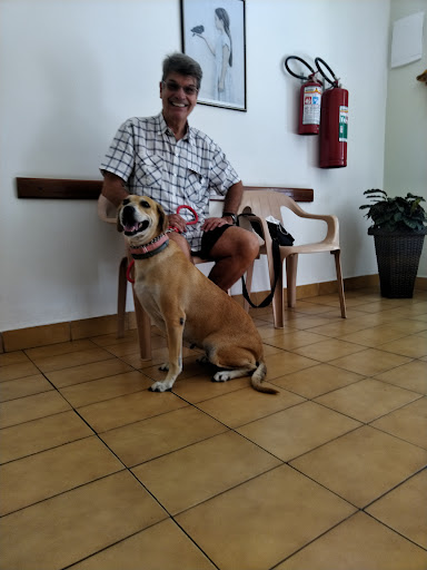 Veterinaria Pets em Guarulhos - SP