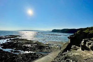 Izu Peninsula Geopark image