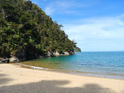 Photo de Observation Beach avec un rivage spacieux
