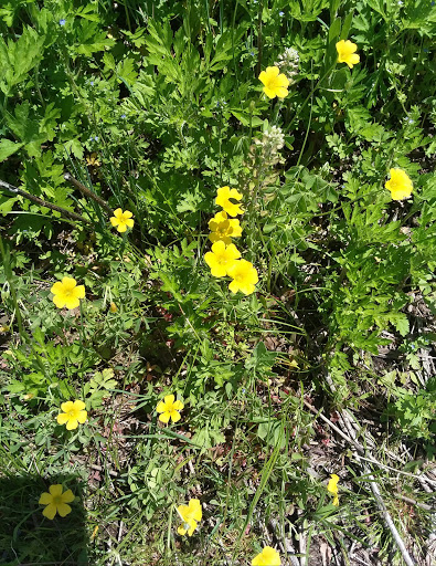 Park «Hollingsworth Park», reviews and photos, 348 Pond St, Braintree, MA 02184, USA