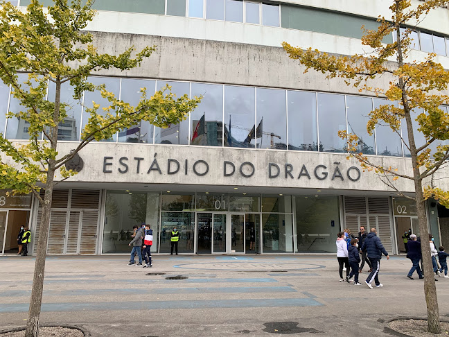 Estádio do Dragão - Campo de futebol
